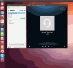 Skype v systému Ubuntu