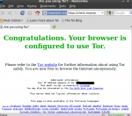 TOR po instalaci