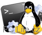 linux-tux-console