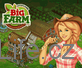 Big Farm