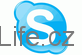 Skype