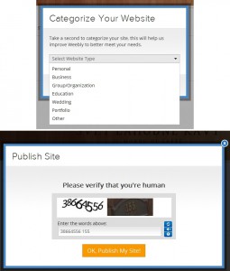 Volba zaměření webu a opsání kódu před publikováním